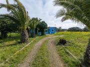 Finca rústica con encanto en Galdent – Llucmajor