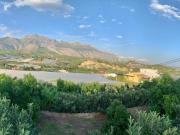 FINCA RUSTICA CON INVERNADERO EN CALLOSA D´EN SARRIA!