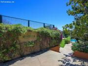 FINCA RÚSTICA CON LICENCIA TURÍSTICA EN SON MACIÁ, MALLORCA