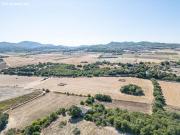 Finca Rustica con mucho potencial en zona tranquila