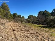 Finca rustica con olivos y almendros en Relleu Torremanzanes