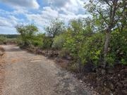 Finca rústica con olivos y buen acceso, entre El Perelló...