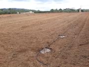 FINCA RÚSTICA CON PLANTACIÓN DE AVELLANOS Y OLIVOS EN REUS