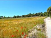 Finca rústica con posibilidad de vivienda con vistas a...