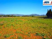 Finca rústica con posibilidad de vivienda en Muro