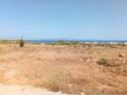 Finca rustica con proyecto