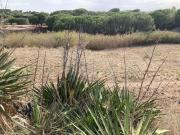 Finca rústica con suministros en Pineda de Mar