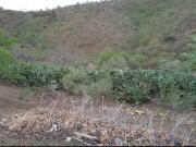 Finca rustica con terreno en Almogia