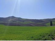 Finca rustica con terreno en Ronda