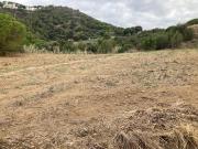 Finca rústica con vista al mar en Pineda de Mar