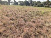 Finca rústica con vista al mar en Pineda de Mar