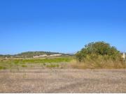 Finca rústica con vistas a la Serra de Tramuntana en Muro