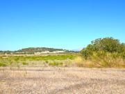 Finca rústica con vistas a la Serra de Tramuntana en Muro