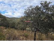 FINCA RUSTICA CON VIVIENDA