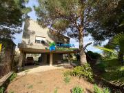 Finca rústica con vivienda a reformar en el Paraje de...