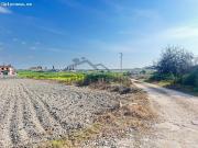 FINCA RÚSTICA CON VIVIENDA EN LAS PALMERAS CUESTA BLANCA