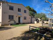 Finca rústica con vivienda y olivos a 900 m del Perelló...