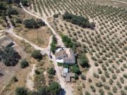 Finca rústica de 125 ha con dos cortijos históricos y...