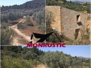 FINCA RUSTICA DE 22.203 M2 CON 21.472 DE OLIVOS DE...