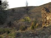 FINCA RUSTICA DE 22 Ha. en La Sierra de Huelva...