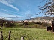 FINCA RÚSTICA DE 2.201 M2 EN COLLOTO OVIEDO