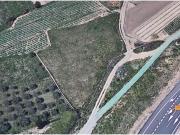 Finca rustica de 2.621 m2 cerca de Lliria