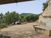 Finca Rústica de 41.000 M2 con caseta de 40 M2 a rehabilitar