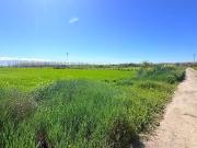 ¡Finca rústica de 4.785m2 en Atarfe!