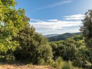 Finca rústica de 50 hectáreas de bosque en Anglès, La...