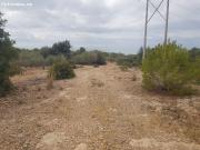 FINCA RÚSTICA de 5 HECTAREAS