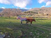 Finca rústica de recreo en Arenas de San Pedro, Ávila