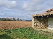 FINCA RUSTICA DE REGADÍO EN CUBILLAS DE SANTA MARTA...