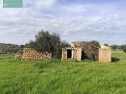 Finca Rústica edificable