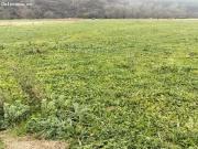 Finca rústica edificable de 2.837 m2 junto al casco...