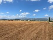 Finca Rústica edificable en Sa Pobla