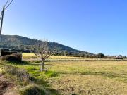 Finca rústica en Alcudia