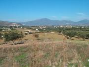 Finca rústica en Alhaurin el Grande