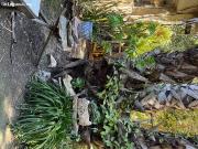 Finca rustica en Alquiler en El Camino de Catral, Alicante