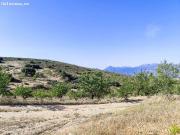 Finca Rústica en Arenas del Rey