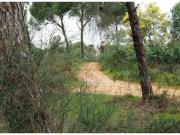 FINCA RÚSTICA EN BEAS