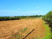 Finca rústica en Camí Vell de Cubelles con casa a...