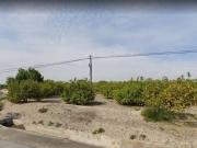 FINCA RÚSTICA EN CTRA. DE ABANILLA