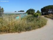 Finca rústica en Ctra de Rota