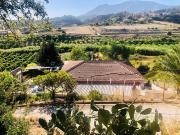 Finca Rústica en Estepona con Piscina Privada y Jardín...