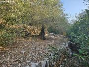 FINCA RÚSTICA EN FABARET, AMPOSTA