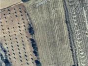 Finca rústica en Guadahortuna, Granada– 101CP1263