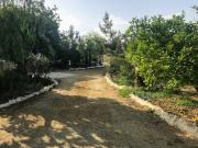 FINCA RÚSTICA EN HUERCAL OVERA CON CASA PRECIO ADAPTADO...