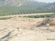 ! GRAN OPORTUNIDAD ! Estupenda finca rústica en la...