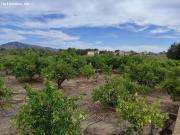 Finca rústica en La Nucía
