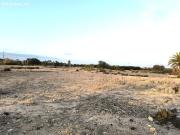Finca Rustica en la Pedania de Marina El Molar Elche...